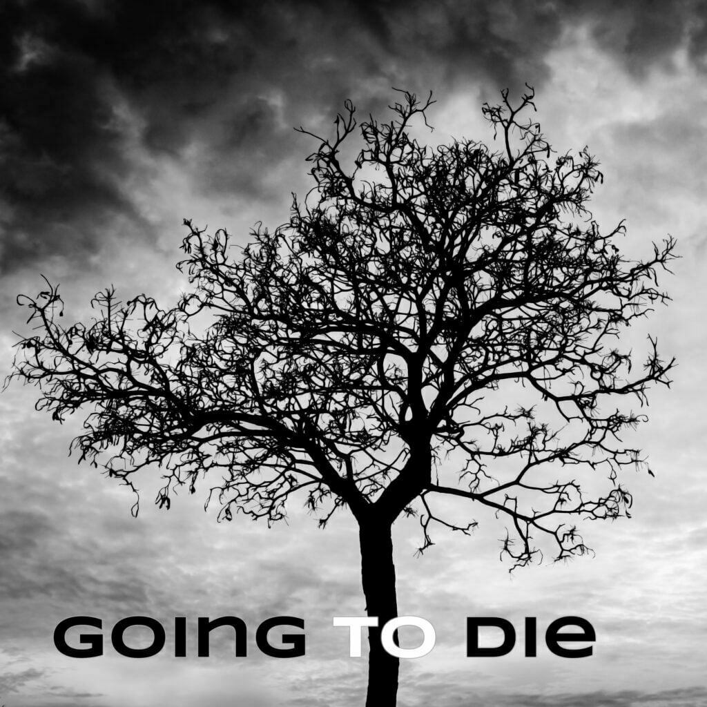 Going to Die cover